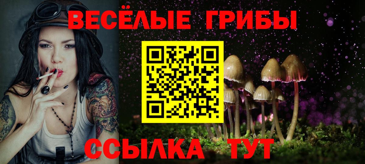 Галлюциногенные грибы ЛСД Богданович