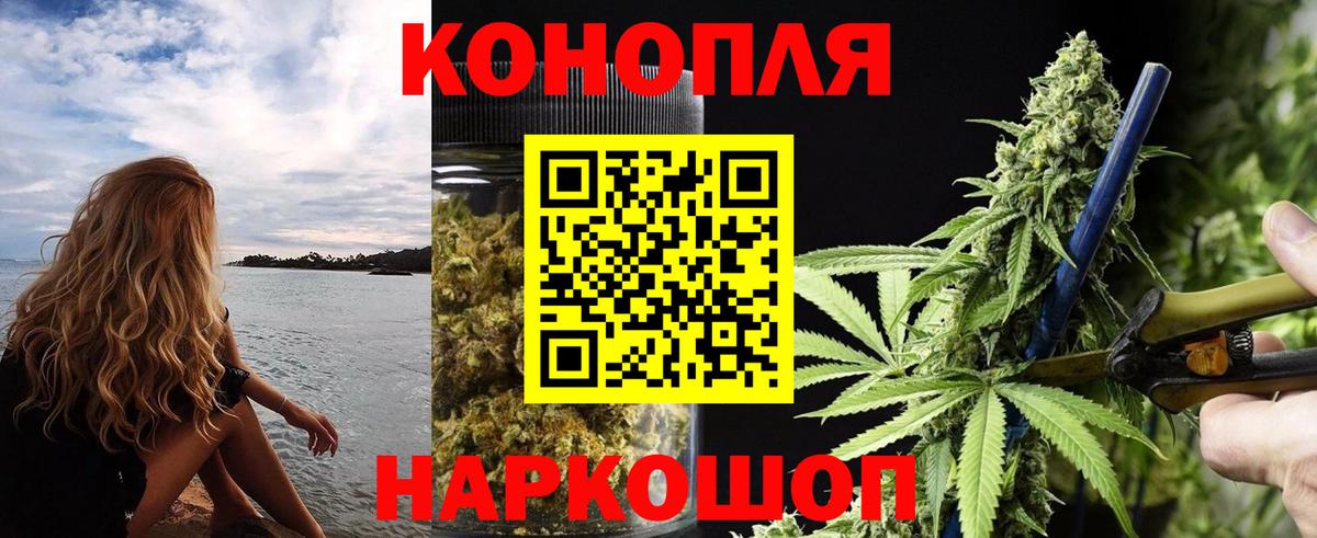 Шишки марихуана OG Kush Богданович